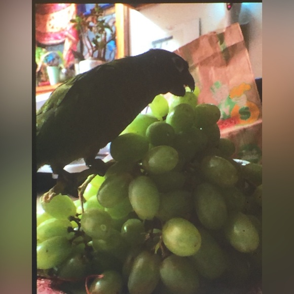 Jeweler - Picture 6 of 15